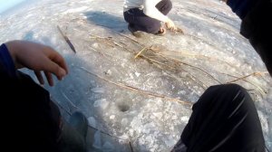 Рыбалка 2018-2019 со льда на мормышку!Окунь  тарань  карась  солнечный окунь