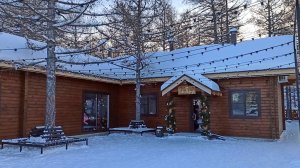 Магнитогорск, зимняя прогулка по заснеженному Экологическому парку, лесопарк (04.01.2022)