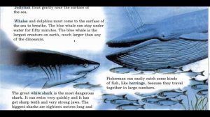 Английский язык Forward 5 класс 1 часть страницы 68-69