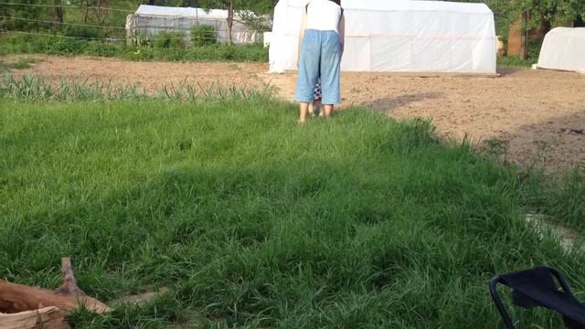 Ходим (Тае 7 месяцев) смотреть онлайн