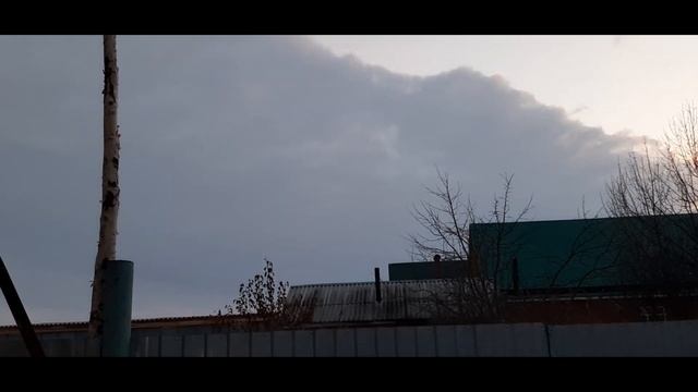 Осы в скворечнике. Почему не заселяются скворцы. Почистили скворечники. Ильгиз Шамратов.