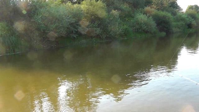 плаваем на Адмирал 300ПТ Серия 03 вниз по реке Великая ловля сплавом смотреть онлайн