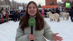 В селе Карабаш в Татарстане возрождают древние традиции и проводят рыцарский турнир "Аударыш"