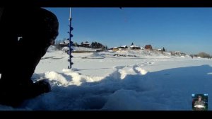 Хариус на зимнем Енисее.