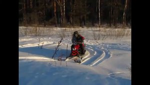 Зимний драйв на снегоходе Динго Т 150-200