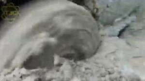 Первый боевой выкат на Блокировках ТЗС.