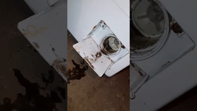 Не сливает воду машинка ZANUSSI смотреть онлайн