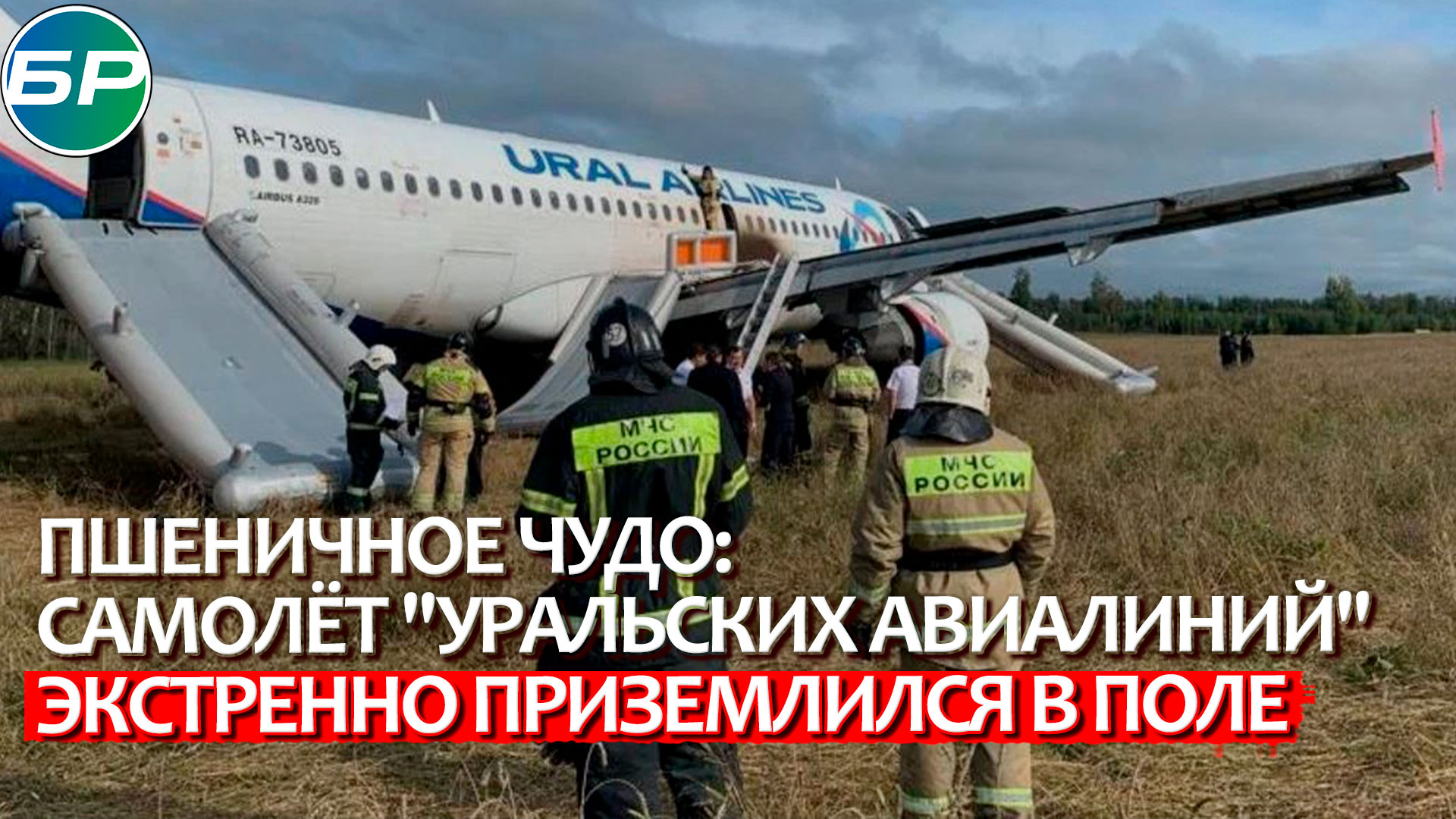 Пшеничное чудо: самолёт "Уральских авиалиний" экстренно приземлился в поле