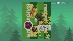 17 параграф БИОЛОГИЯ 6 КЛАСС Пономарёва //учиться на 5// §17 биология 6 класс