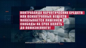 Как иностранному гражданину не стать соучастником наркопрестуления