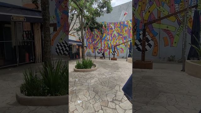 #brasil #saopaulo половинка броненосца смотреть онлайн