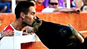 Бык на корриде поцеловал своего хозяина, который вырастил его и продал туда…