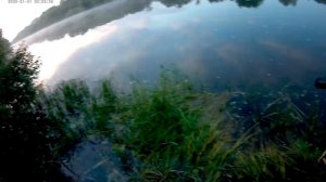 Опять на том же месте. Выход судака. Часть первая