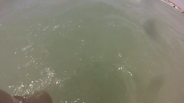 VLOG | БРАТ СЛОМАЛ GOPRO смотреть онлайн