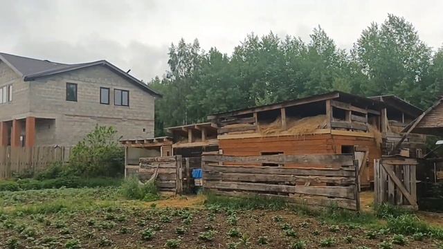 Самое время для шитья/ Готовлю заказ на продажу/Продала козочку молодую.