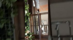 Аудит кафе на лиговском проспекте