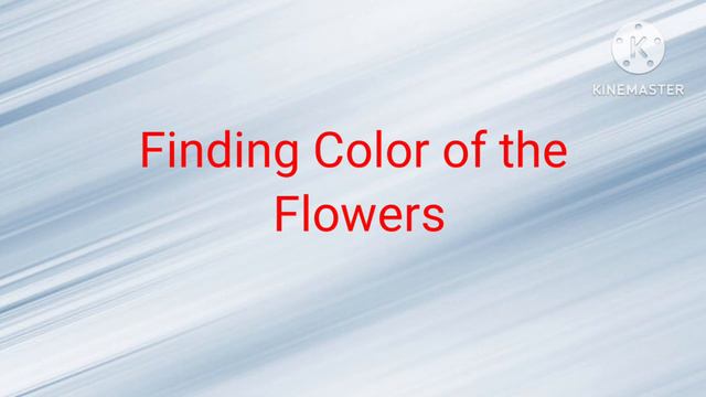 Flowers and Its Colors| Learn flowers and Colors finding Challenge| Flower Vocabulary смотреть онлайн