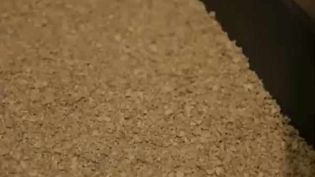 Био кэтс наполнитель исправленный сжатый смотреть онлайн