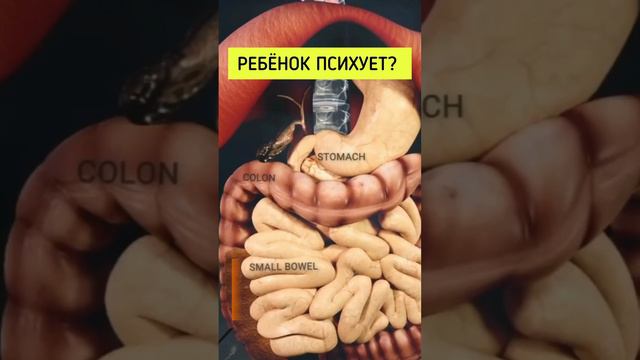 НЕРВНЫЙ РЕБЁНОК?