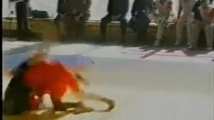 Анатолий Харлампиев - создатель боевого САМБО