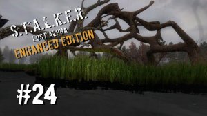 ПОСМОТРЕЛ НА ТРЕТИЙ ТИР ► S.T.A.L.K.E.R. Lost Alpha Enhanced Edition ► #24