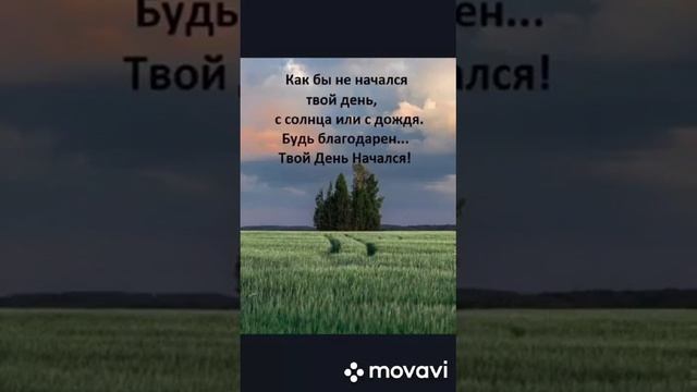 Стремимся к лучшему и действуем. смотреть онлайн