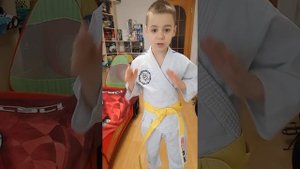 путь поясов или последовательность поясов в дзюдо