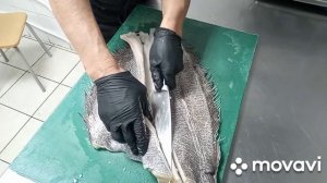 Палтус рыба. ☝️?