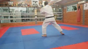 2 Kata HEIAN NIDAN | Karate Shotokan - Andre Maraschin