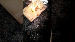 Сожгли за живо