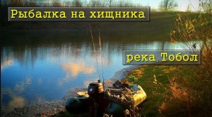 Река Тобол / Осенняя рыбалка на хищника / Судак на нарезку