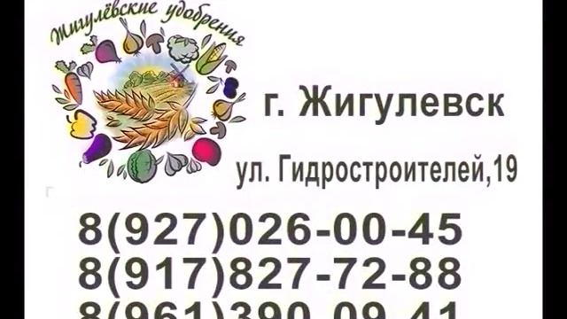 Саженцы плодовых и цветущих кустарников. смотреть онлайн