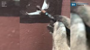 Владимирский уличный художник продемонстрировал свой новый арт-объект