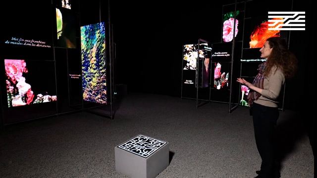 Visite exclusive de l'exposition Hito Steyerl | Centre Pompidou смотреть онлайн