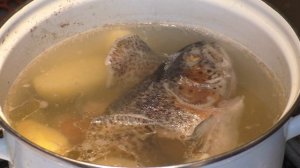 рыбная уха из голов и хвостов сёмги карельской