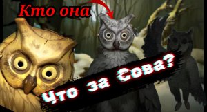 КТО ТАКАЯ СОВА ИЗ TINY BUNNY || ТЕОРИЯ ПО ЗАЙЧИКУ || (ДАТА ВЫХОДА 5 ЭПИЗОДА Tiny bunny) ||