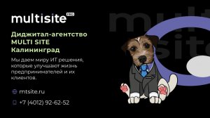 Multi Site: создание и SEO-продвижение эффективных сайтов для бизнеса — результаты под ключ