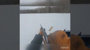 Охота на снегоходе. Нежелательный вид. Охота на лису. Снегоход Arctic cat. Ружье МЦ 20-01