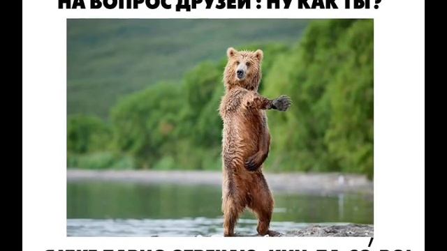 КАРЕЛИЯ - ЭТО КИНДАСОВО 2015, ДЕТ(Д)КА! смотреть онлайн