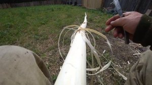 Делаю привой на пасеке.