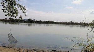 Рыбалка кастинговой сетью на Кубани 3