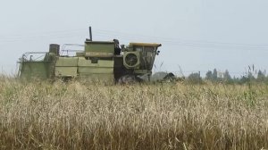 Уборка урожая пшеницы комбайнами Дон-1500 Картушин 2016