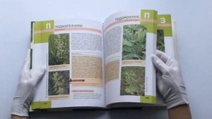 Большая иллюстрированная энциклопедия лекарственных растений