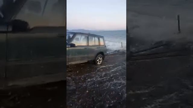 Выбросившуюся на берег косатку спасли магаданцы смотреть онлайн