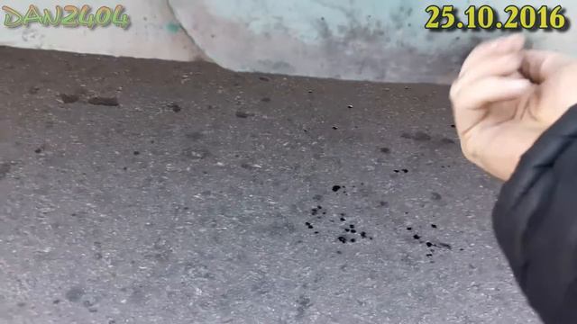 #06 0172 мелкие проблемы. Осень 2016. смотреть онлайн