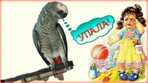 "НАША ТАНЯ ГРОМКО ПЛАЧЕТ"...УПАЛА! ЖАКО ПЕТРУНЯ