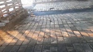 6000-МИНГ ДОНА ГИШ КЕТГАН МОЛ ХОНА.