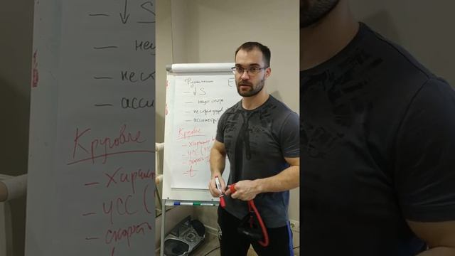 Теория и методика тренировок дома