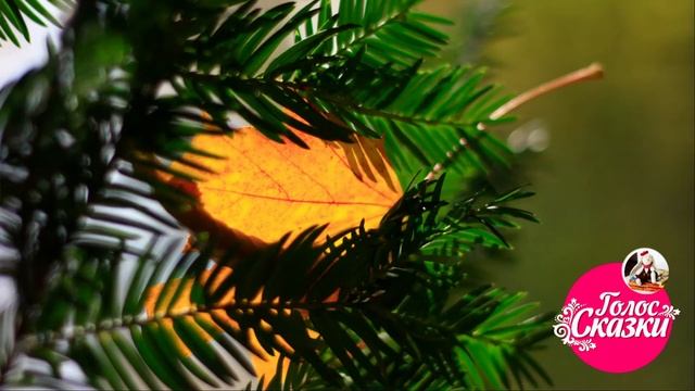 Стихи про осень для детей | Иван Бунин - "Листопад" (отрывок) | Внеклассное чтение 1-2 класс смотреть онлайн