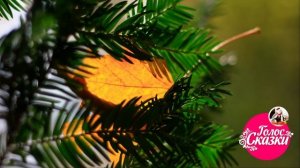 Стихи про осень для детей  | Иван Бунин - "Листопад" (отрывок)  |  Внеклассное чтение 1-2 класс